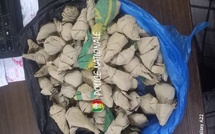 Trafic de drogue : un dealer arrêté à Kolda par l’OCRTIS avec 60 cornets de chanvre