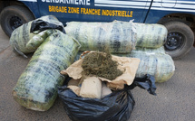 Trafic de drogue : deux individus arrêtés et une importante cargaison interceptée au large de Keur Massar