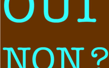 Ziguinchor: Un « ESPION » du OUI physiquement attaqué par une foule favorable au NON (Vidéo)
