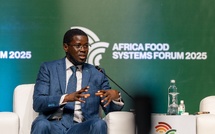Forum africain des systèmes alimentaires : Le Président Faye prône une agriculture moderne et innovante pour nourrir l’Afrique et le monde