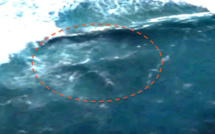 Disparition du vol MH370: la machine à fausses théories tourne encore