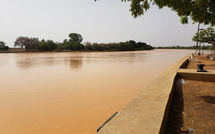 Niveau du fleuve Sénégal : La cote d’alerte reste toujours dépassée à Matam (DGPRE)