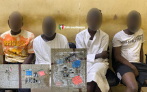 Kaolack : quatre personnes arrêtées et de la drogue saisie avant le Gamou