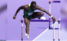 Championnats du monde de Tokyo : Louis François Mendy éliminé