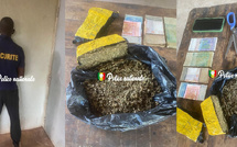 Nouveau coup de filet à Kédougou : Un réseau de drogue démantelé dans le quartier Gada Dinguessou, avec 500 g de chanvre indien