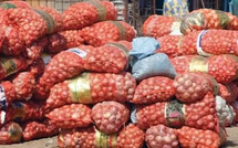 Commerce : Avec une reprise encadrée, le Sénégal lève le gel des importations d’oignon pour stabiliser le marché jusqu’à fin 2025