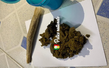 Saint-Louis : Quatre individus arrêtés avec du haschich et du chanvre indien