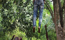 Découverte macabre à Keur Assane : Un homme retrouvé pendu dans la forêt