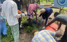Mystère à Dioudoubou : tué par balle, un berger retrouvé au milieu de ses bœufs dans la brousse