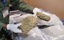 AIBD : Du haschich d’un poids total de 32,686 kg en provenance de l’étranger, saisi