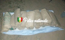 Trafic de drogue : les brigades de Thiès et Kaolack frappent fort à Nguekhokh, 20 blocs de chanvre saisis, la traque continue