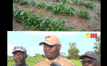 Centre pénitentiaire agricole de Burkina Faso: Un vériable exemple d’insertion sociale de prisonniers