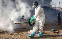 Pikine I Début de la campagne « Hivernage Zéro Paludisme » : Le FSN et le PNLP mobilisent les habitants contre le paludisme