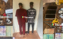 Kédougou : Deux trafiquants arrêtés avec du Kush et du Tramadol