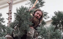 Cet homme a refusé de descendre d’un arbre pendant 24 heures