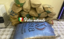 Lutte antidrogue : La Brigade régionale frappe fort à Kolda, 47 kg de chanvre indien saisis