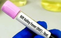 Fièvre de la Vallée du Rift : La région de Saint-Louis en bonne voie pour la fin de l’épidémie