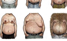 Le petit guide illustré des seins masculins, sans doute ce que vous verrez de plus drôle aujourd'hui !