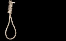 Macabre découverte : Un père de famille retrouvé pendu à un arbre