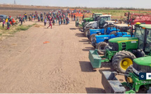 Affaire QVS/SNV : Comment Ousmane Sonko a été induit en erreur