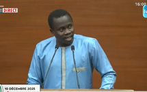 Assemblée nationale : Le Ministre de l’Intérieur interpelé sur le paiement de la Carte CEDEAO et de son utilité entre pays africains 