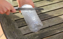 Pour faire pousser des légumes chez vous, il suffit d’une bouteille d’eau!