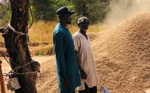 Diombato / Crise de la commercialisation de l’arachide : Modou Thiam lance un cri d’alarme à l’État, depuis le louma de Touba Mouride