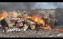Tambacounda : Incinération de produits prohibés d’une valeur de plus de 500 millions francs Cfa