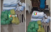 54 kg de chanvre indien saisis en pleine forêt, deux individus interpellés 