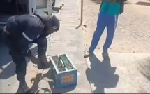 Vente d’oiseaux en cage : La Police nationale lance une vaste opération pour mettre fin à cette pratique