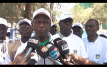Saint-Louis : Le maire Mansour Faye lance la végétalisation de la commune, avec la plantation de 94 palmiers sur l'avenue Macky Sall