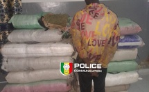 Sédhiou : 179 kg de chanvre indien saisis par la Brigade des Stupéfiants