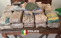 Saisie de 23 kg de chanvre indien par le Commissariat urbain de Saly