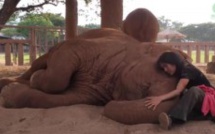 La dresseuse s’agenouille près de l’éléphant dans l’enclos. Regardez ce qu’il se passe quand elle commence à chanter!