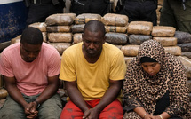 Banlieue de Dakar: Saisie record de 254 kg de chanvre indien par la Brigade des Stupéfiants