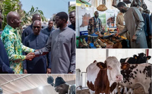 FIARA 2026 : Bassirou Diomaye Faye érige l’agriculture en pilier de la souveraineté nationale