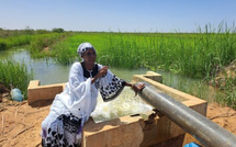 La FAO érige le Sénégal en modèle de gouvernance de l’eau pastorale