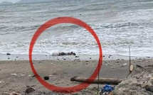 Cambéréne : un corps non identifié repêché sur la plage et inhumé à Yoff