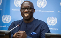 Abdoulaye Wade : un fabuleux destin ( Adama Dieng )