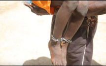 Décès du jeune Assane Dieng dans un Daara à Rufisque : le maître coranique et son épouse condamnés à 2 ans de prison ferme