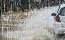Météo : des pluies et orages attendus dans plusieurs régions du Sénégal jusqu’au 20 juin
