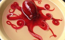Un artiste malaisien peint des créatures aquatiques hyper réalistes