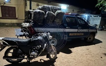 Trafic de drogue : la Gendarmerie intercepte 360 kg de chanvre indien à Joal