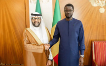 Vision Sénégal 2050: Le Président Bassirou Diomaye Faye et le PCA de la BADEA renforcent leur partenariat stratégique