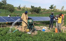 Forages ruraux: la solarisation pourrait faire économiser 13 milliards de FCFA par an au Sénégal