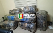 Guéréo : la Police saisit près de 245 kg de chanvre indien
