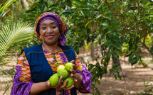 FAO : Bintia Stephen Tchicaya alerte sur les difficultés d’accès des agricultrices à la terre au Sénégal
