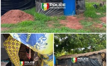 Kédougou : une opération policière libère des victimes d'exploitation sexuelle et de travail forcé