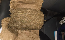 Kaolack : la gendarmerie saisit 6 kg de chanvre indien et interpelle un suspect à Darou Salam