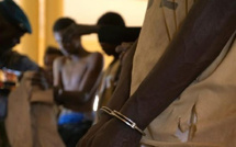 Kaffrine : deux trafiquants condamnés à 10 ans de prison pour 7 kg de chanvre indien